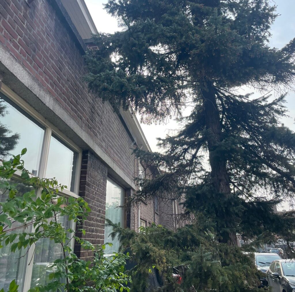 Latei gevelrenovatie Rotterdam